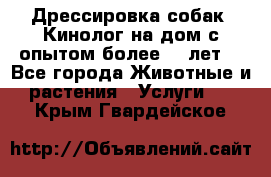 Дрессировка собак (Кинолог на дом с опытом более 10 лет) - Все города Животные и растения » Услуги   . Крым,Гвардейское